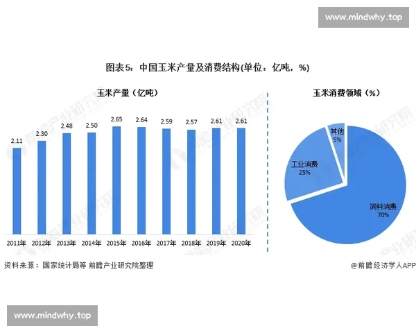聚焦球队积分榜变化走势解析赛季竞争格局与排名起伏全景观察